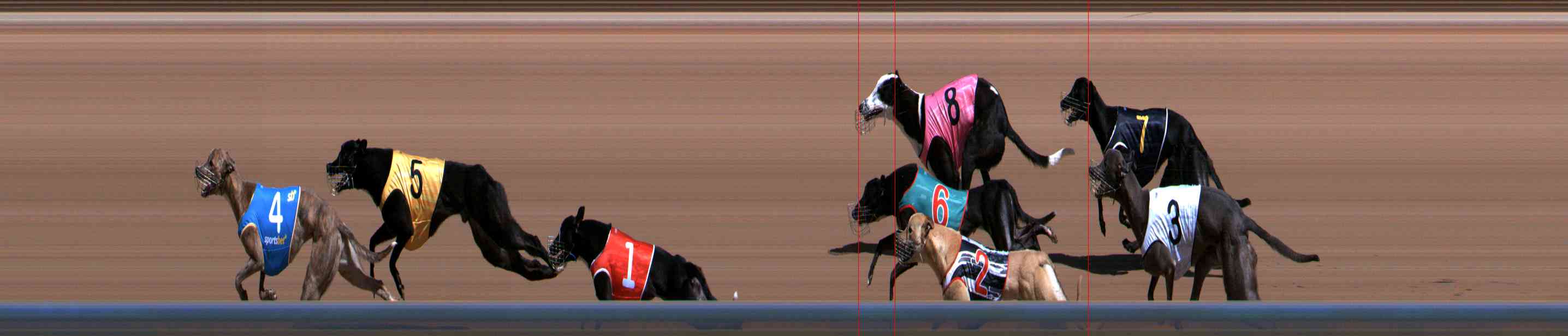 Photo finish for Healesville Race 3