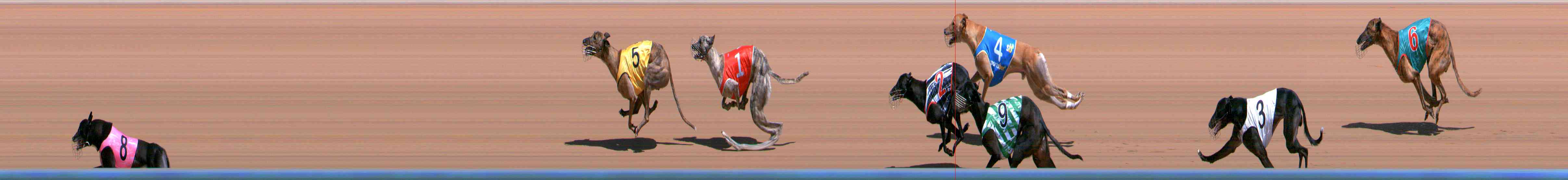 Photo finish for Healesville Race 4