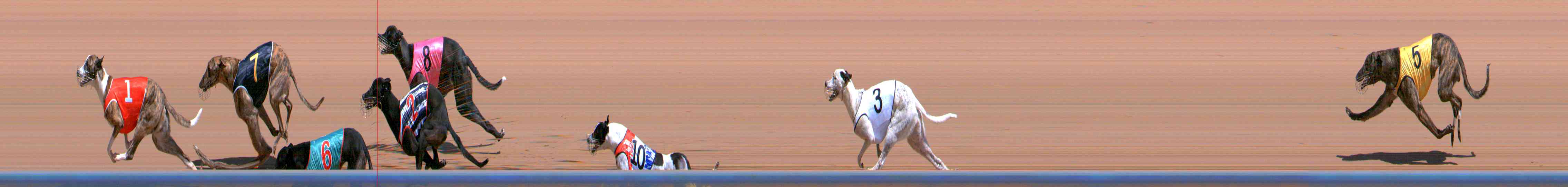 Photo finish for Healesville Race 5