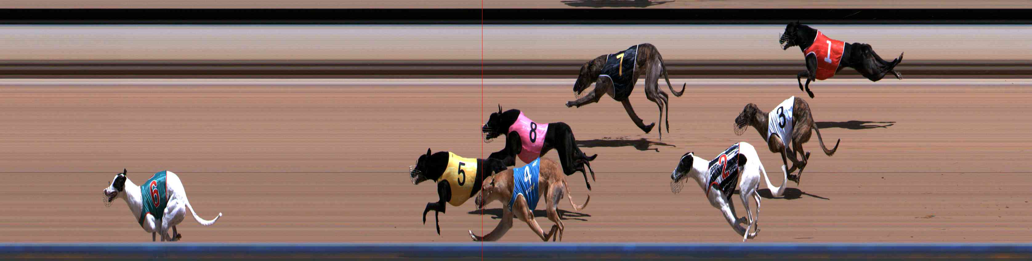Photo finish for Healesville Race 6