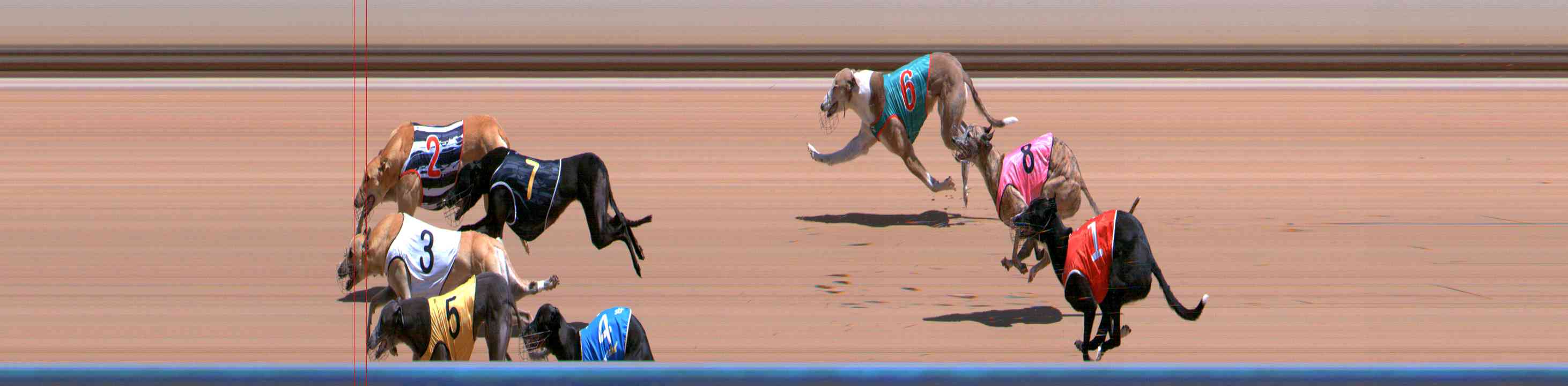 Photo finish for Healesville Race 7