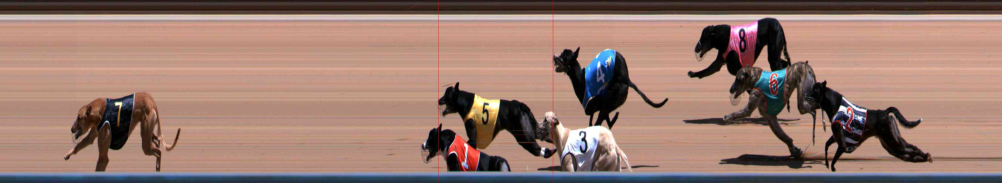 Photo finish for Healesville Race 8