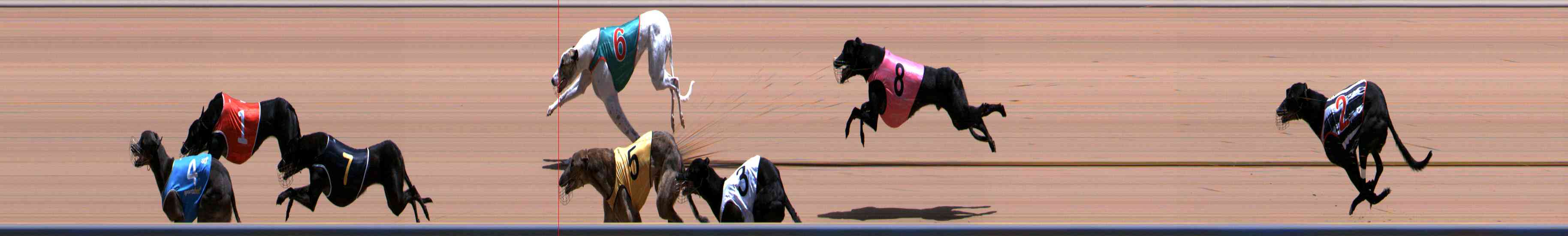 Photo finish for Healesville Race 9
