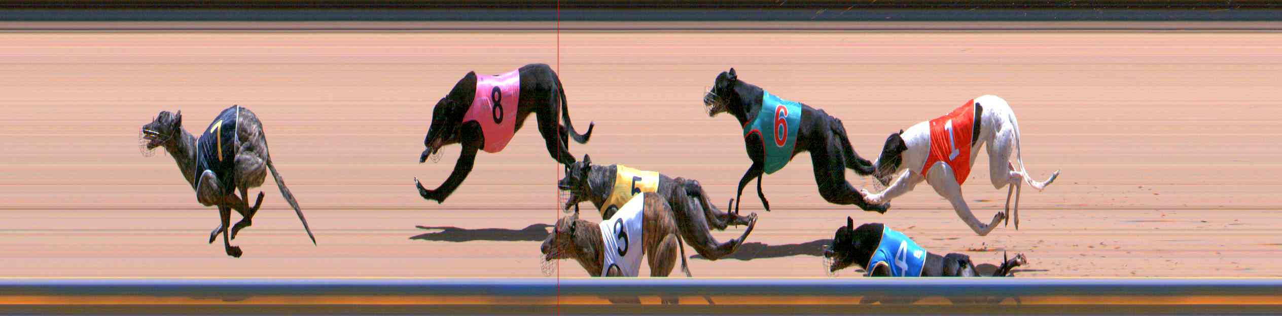 Photo finish for Healesville Race 10