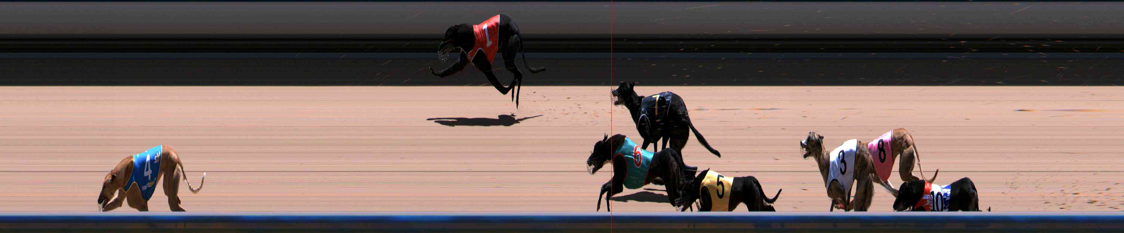 Photo finish for Healesville Race 12