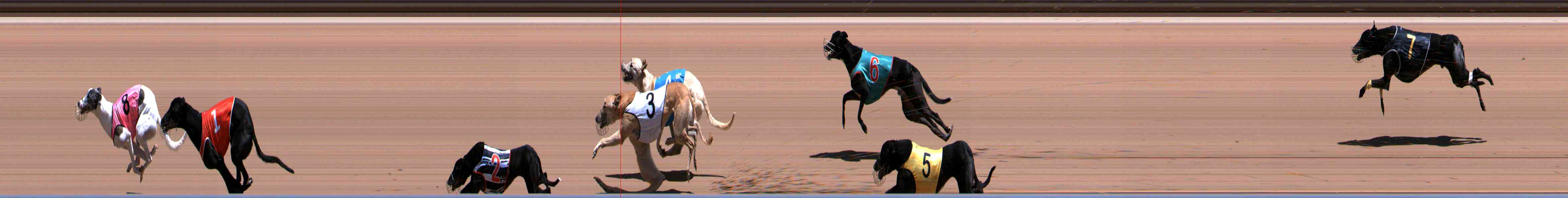 Photo finish for Healesville Race 5