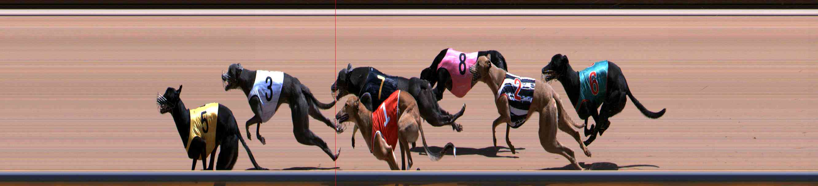 Photo finish for Healesville Race 7