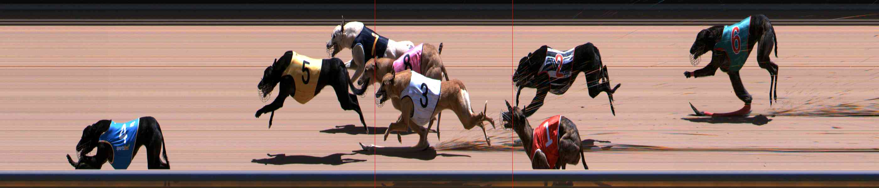 Photo finish for Healesville Race 9