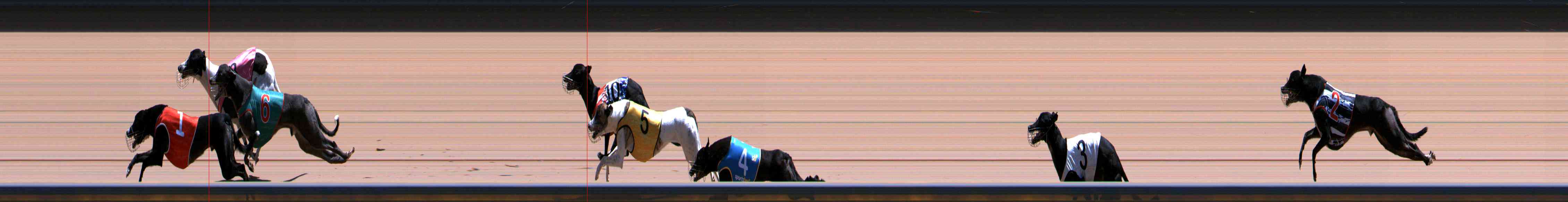 Photo finish for Healesville Race 10
