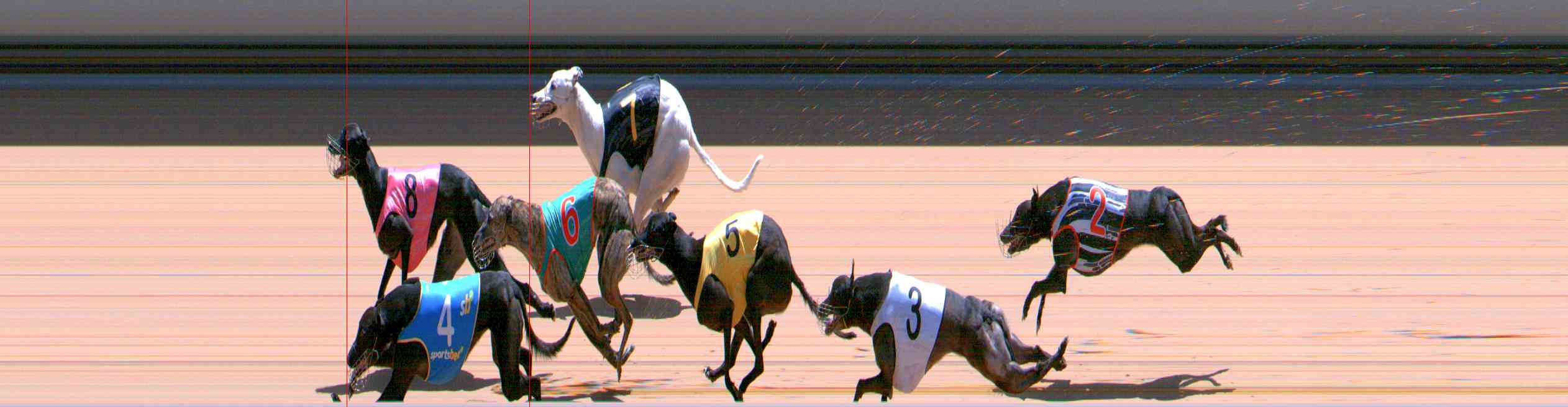 Photo finish for Healesville Race 11