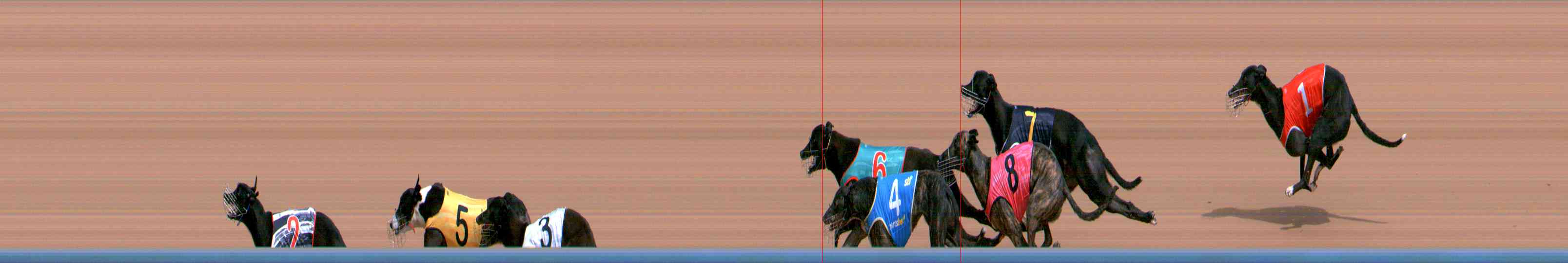 Photo finish for Healesville Race 2