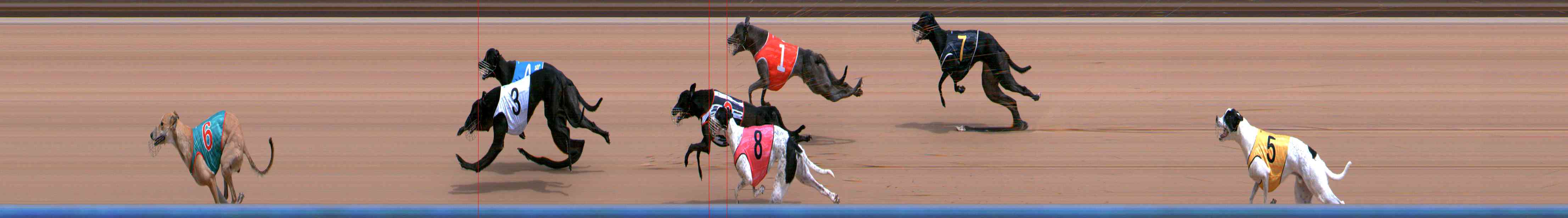 Photo finish for Healesville Race 4