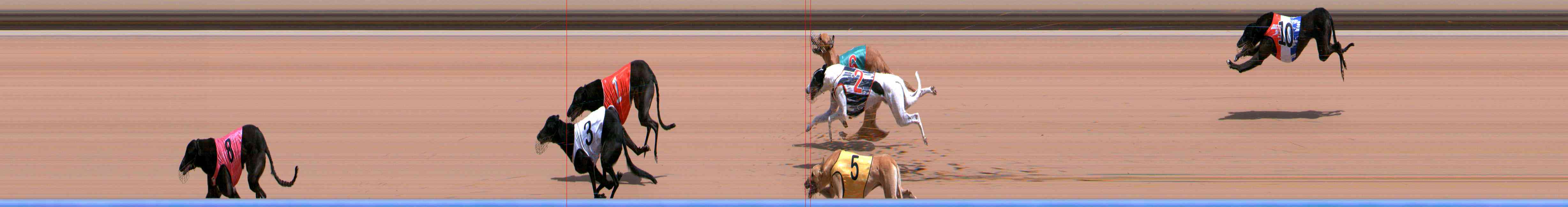 Photo finish for Healesville Race 6