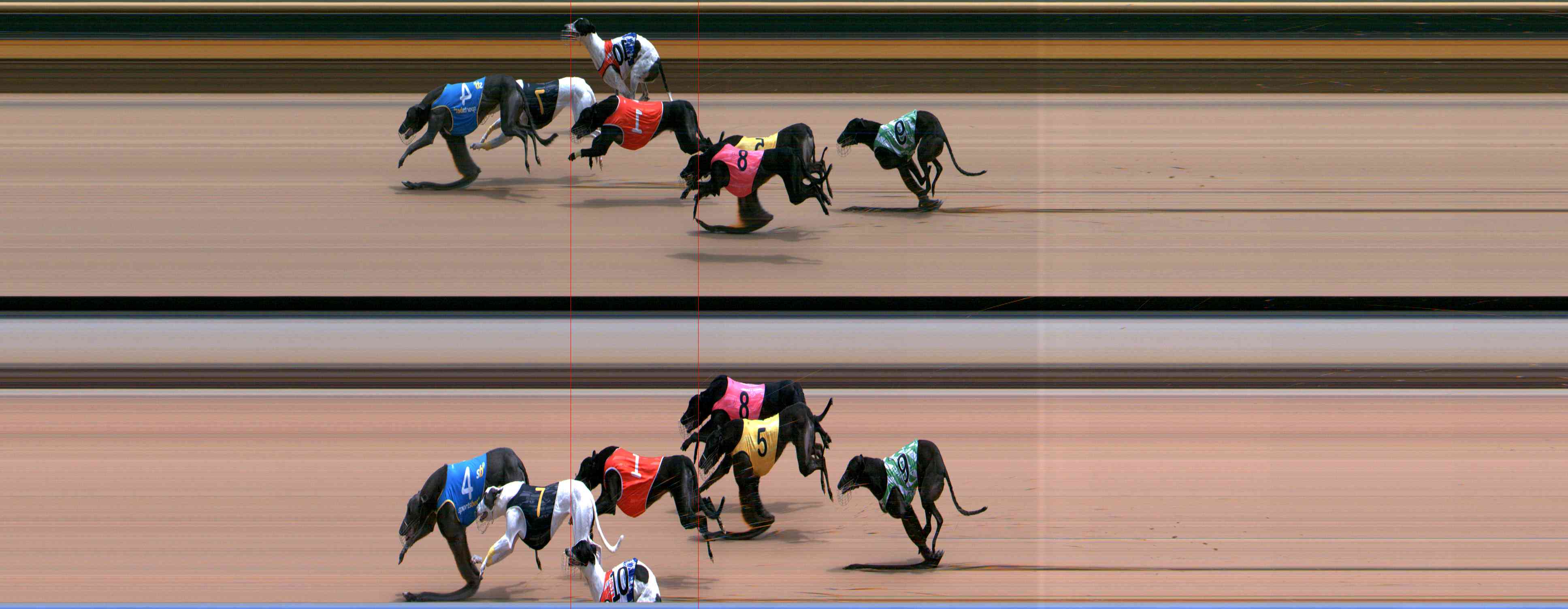 Photo finish for Healesville Race 7