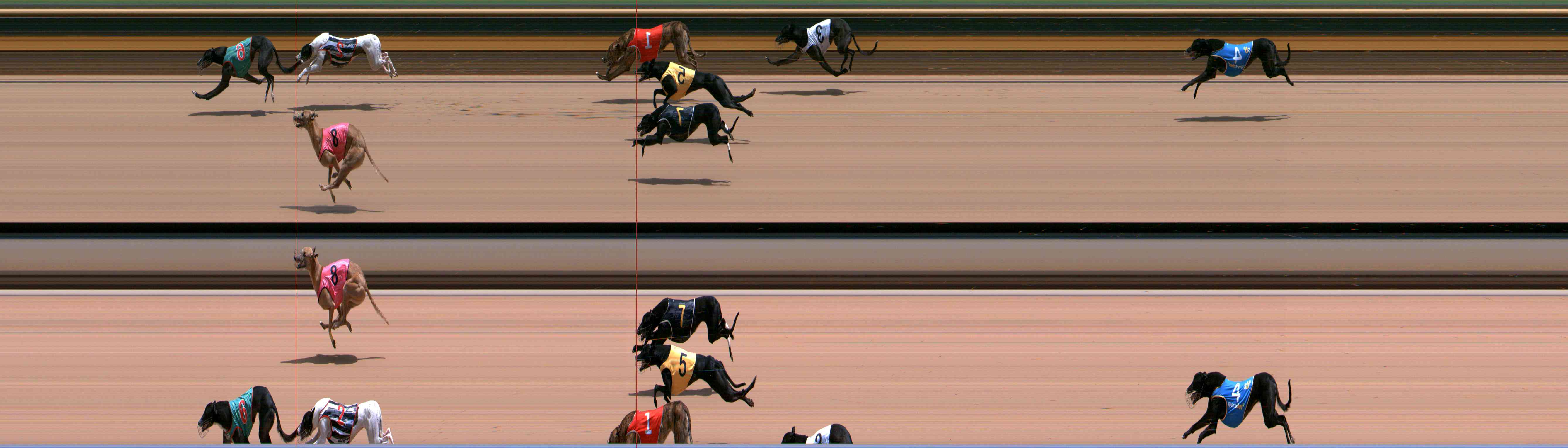 Photo finish for Healesville Race 9