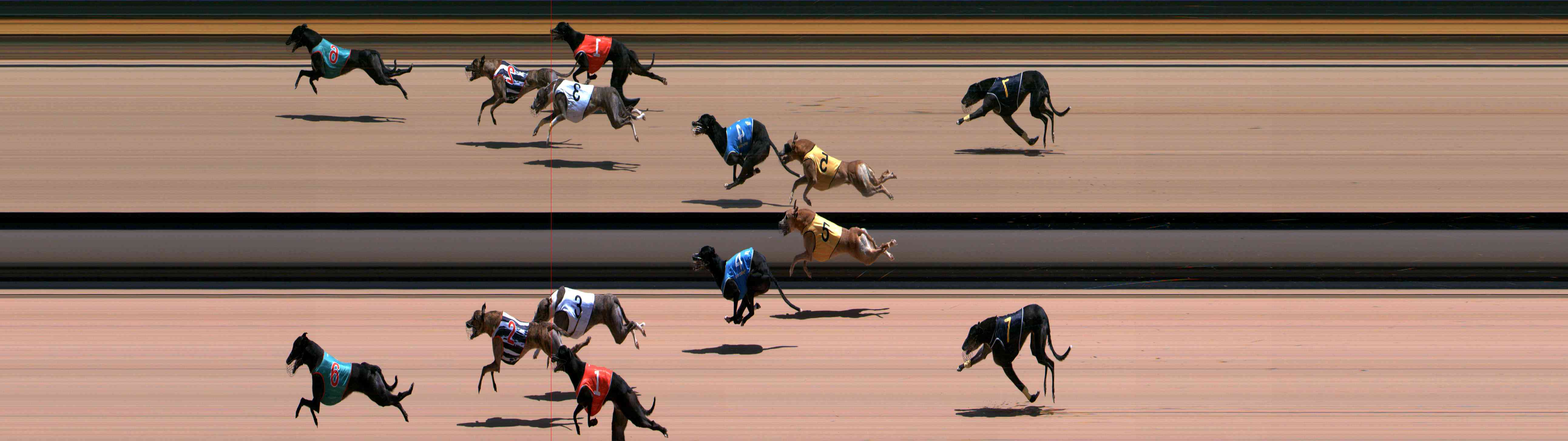 Photo finish for Healesville Race 10