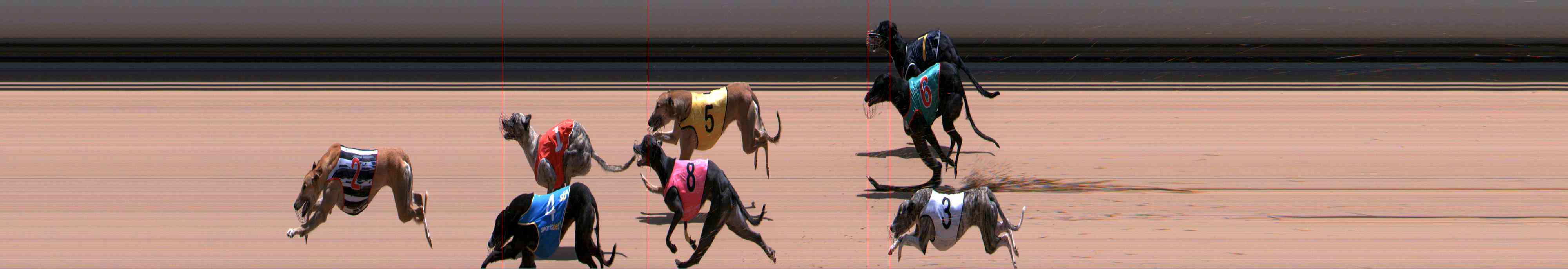 Photo finish for Healesville Race 11