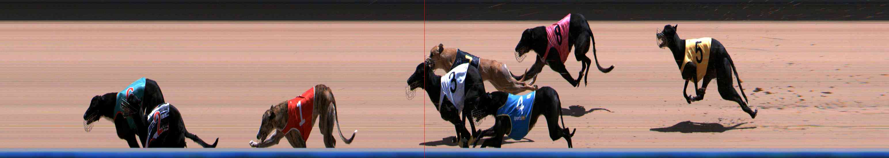 Photo finish for Healesville Race 12