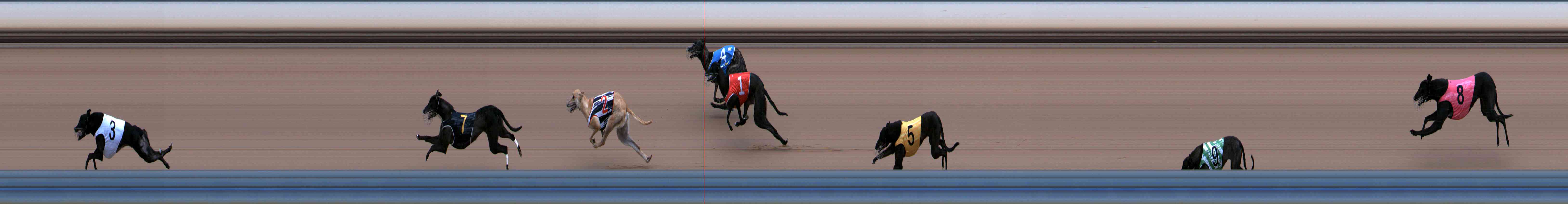 Photo finish for Healesville Race 1
