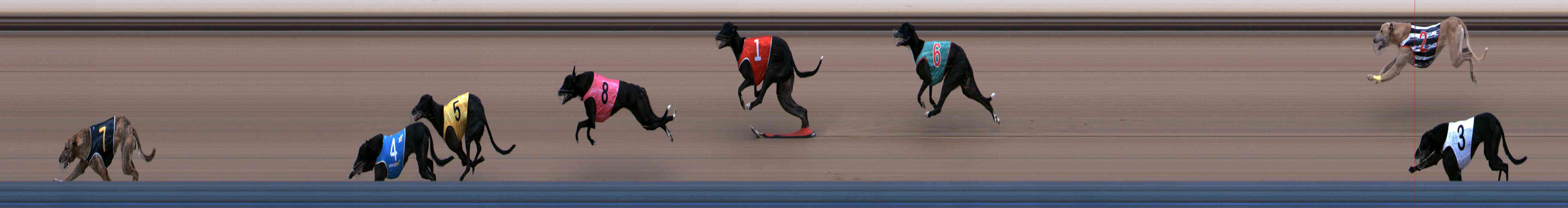 Photo finish for Healesville Race 2