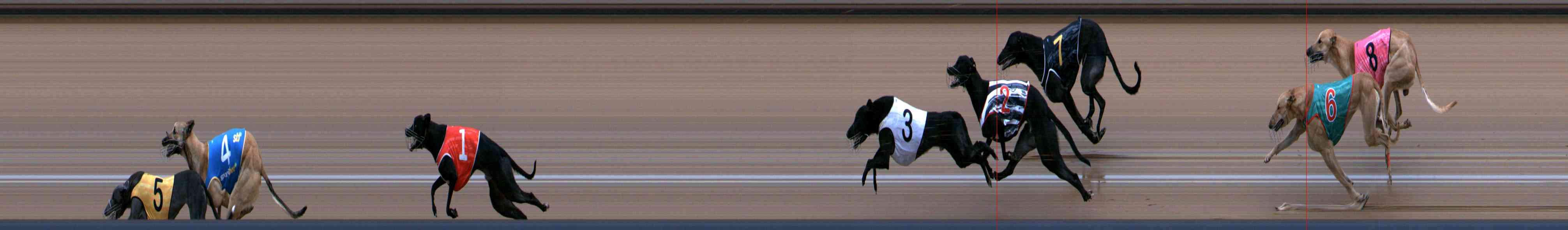 Photo finish for Healesville Race 3