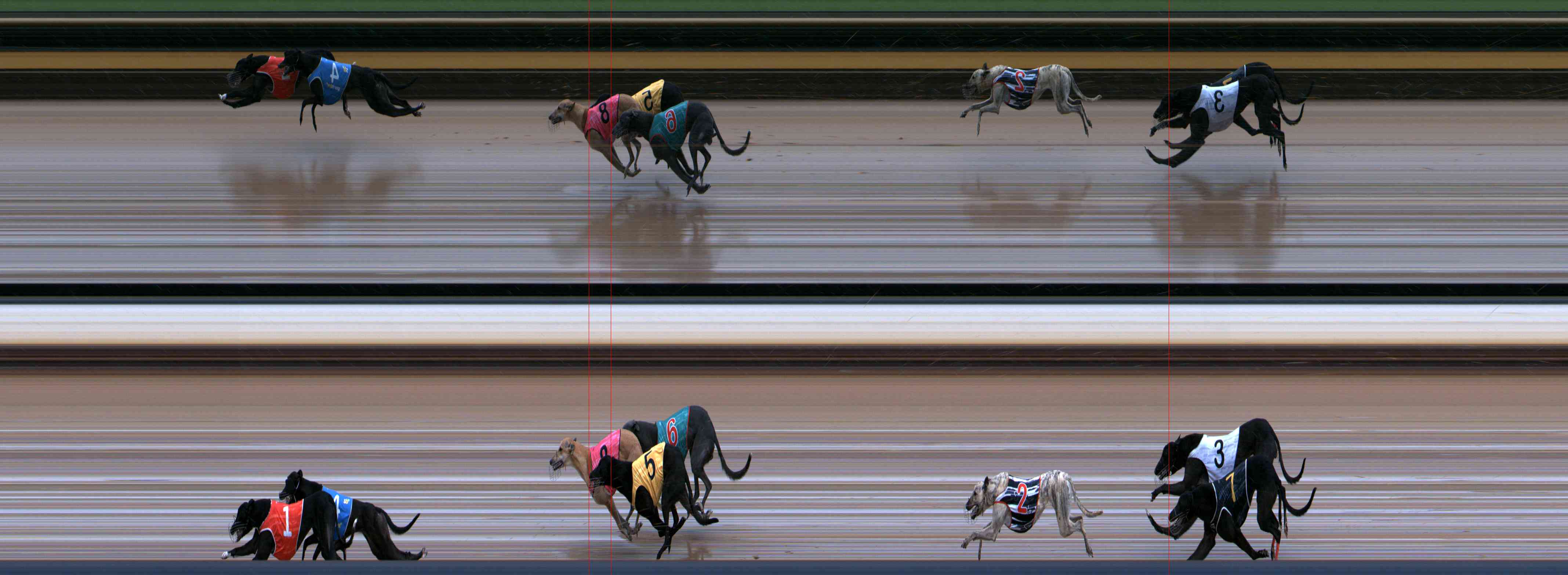 Photo finish for Healesville Race 4