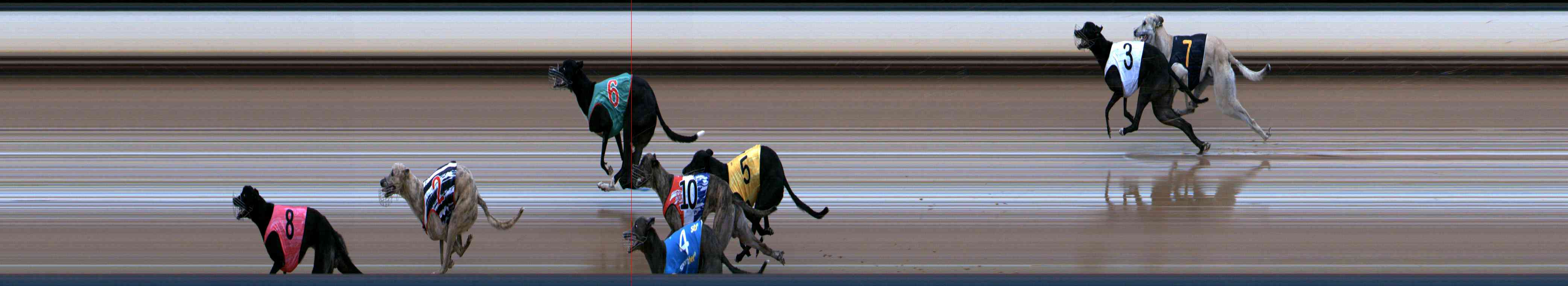 Photo finish for Healesville Race 5