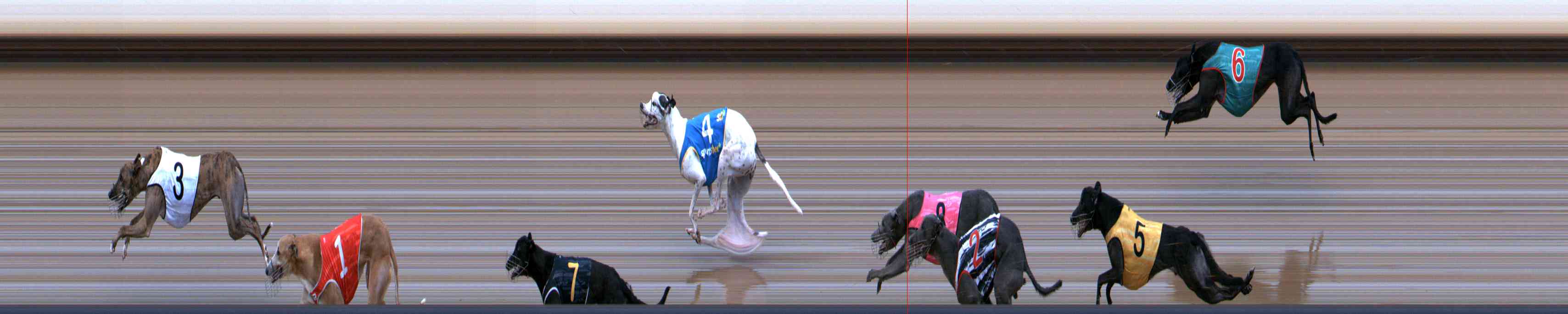 Photo finish for Healesville Race 6