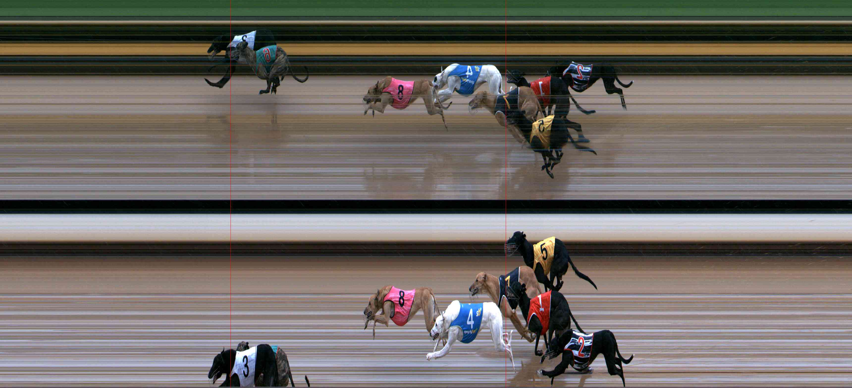 Photo finish for Healesville Race 7