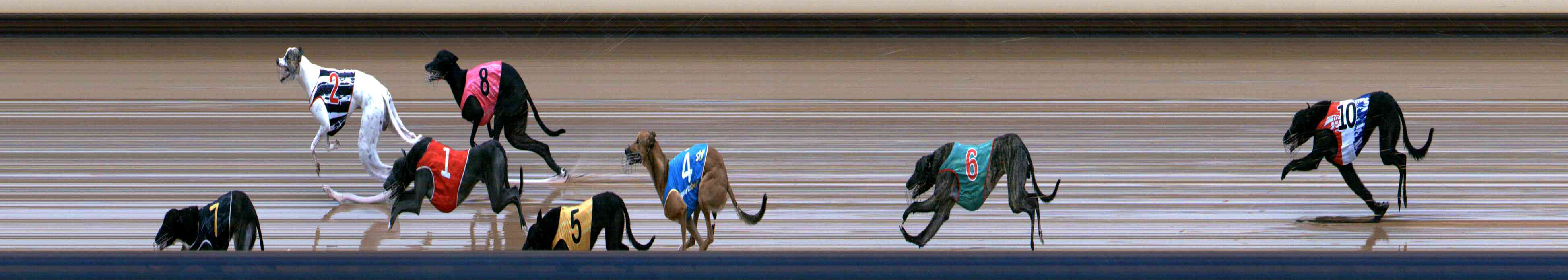 Photo finish for Healesville Race 9