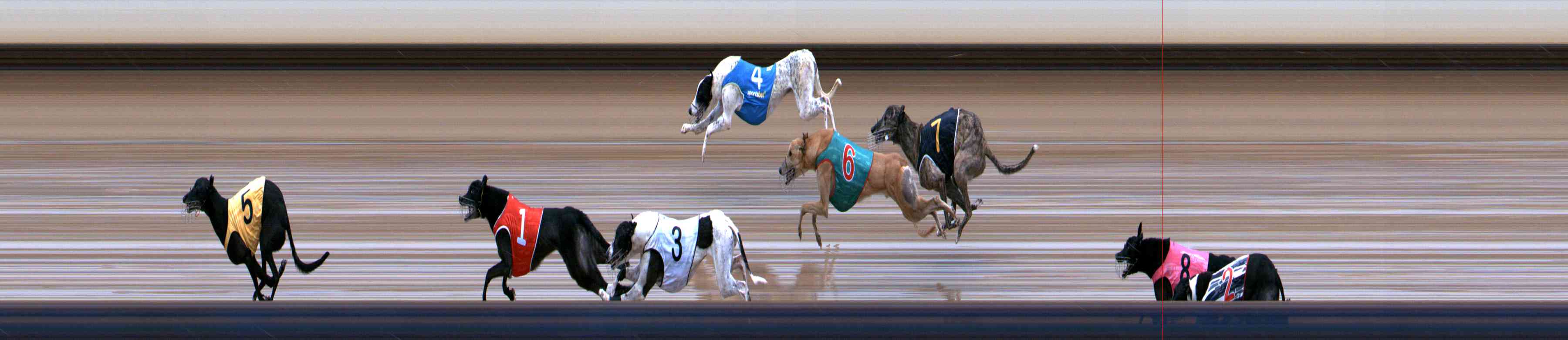 Photo finish for Healesville Race 10