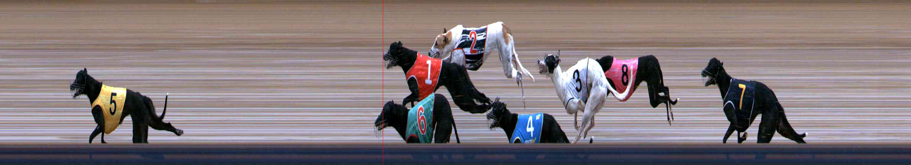 Photo finish for Healesville Race 11