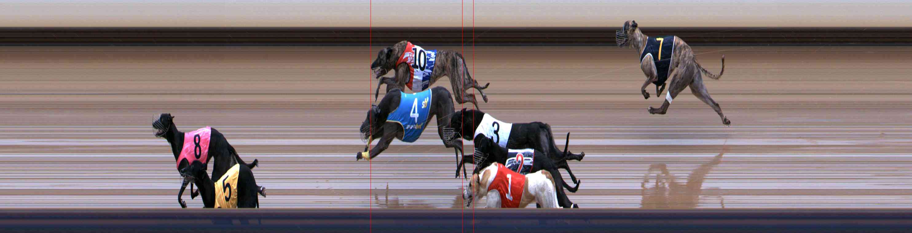 Photo finish for Healesville Race 12