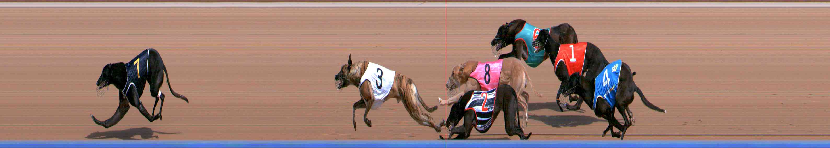 Photo finish for Healesville Race 1