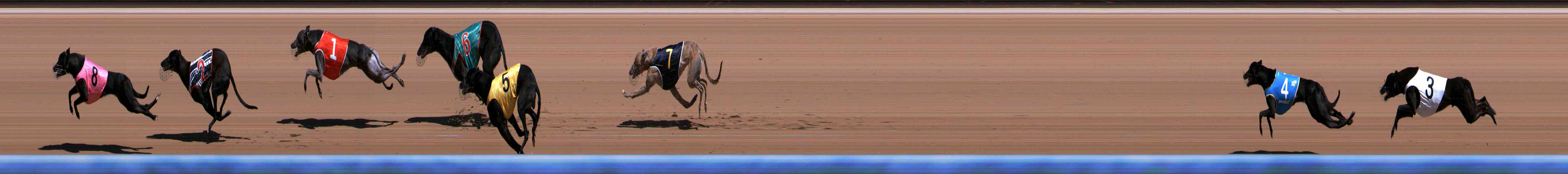 Photo finish for Healesville Race 2