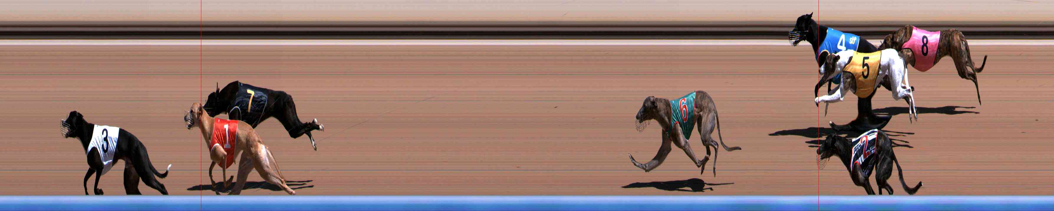 Photo finish for Healesville Race 3