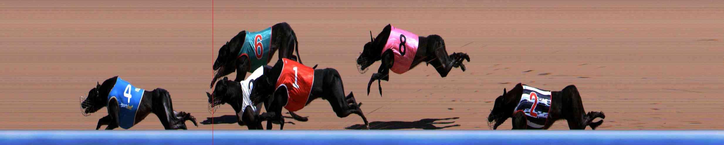 Photo finish for Healesville Race 4
