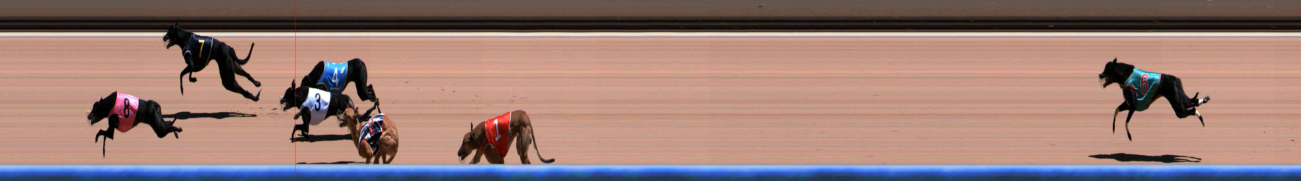 Photo finish for Healesville Race 7