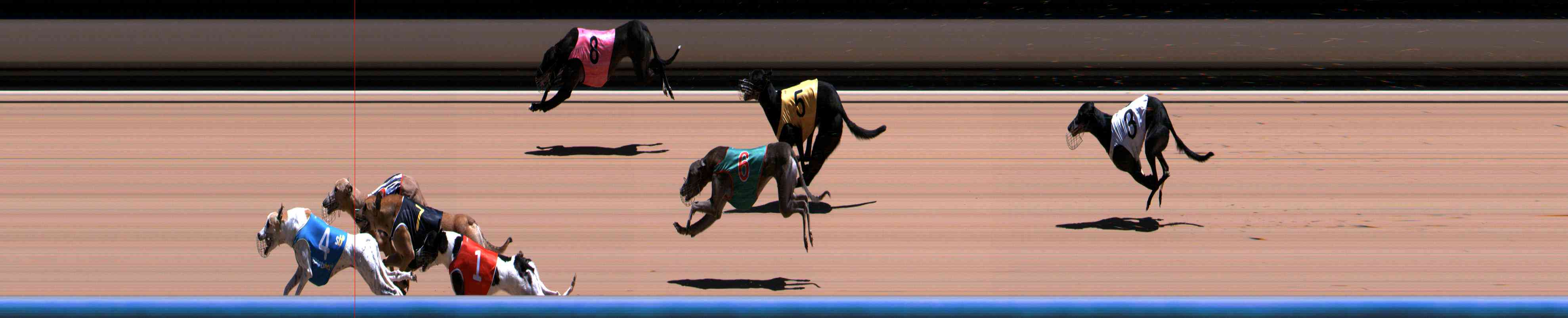 Photo finish for Healesville Race 8