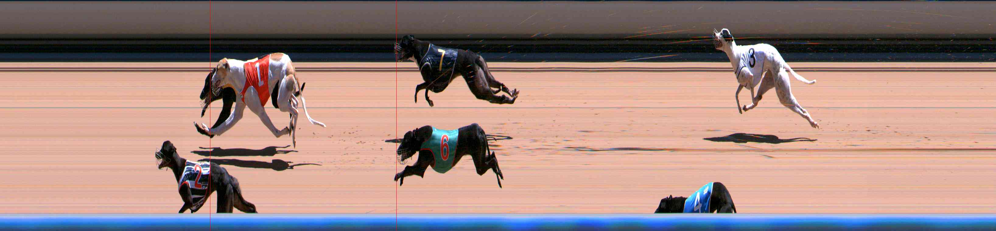 Photo finish for Healesville Race 9