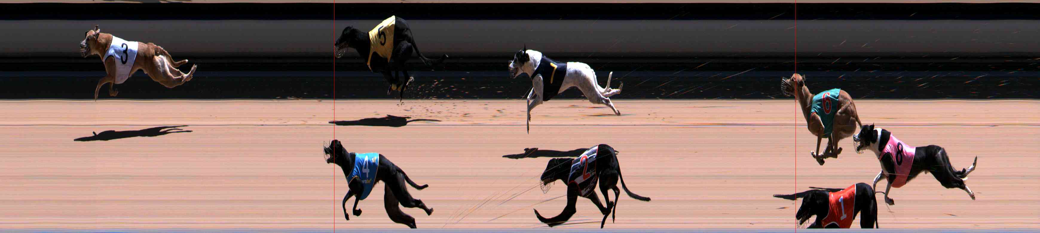Photo finish for Healesville Race 11