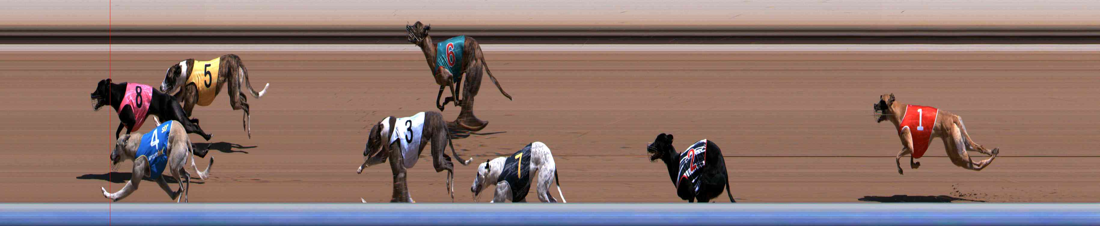 Photo finish for Healesville Race 3