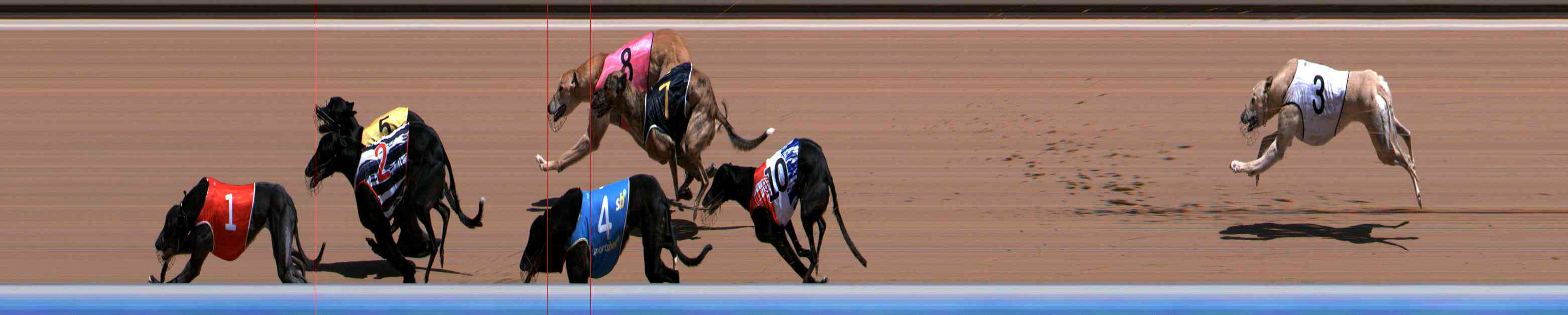 Photo finish for Healesville Race 4