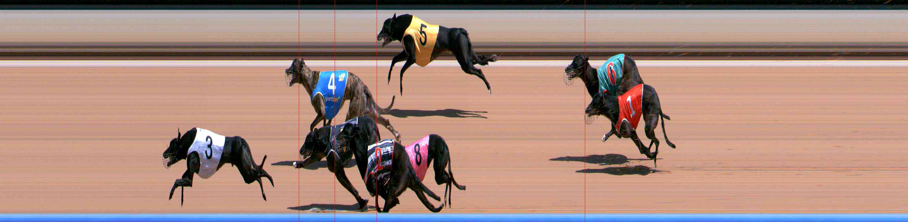 Photo finish for Healesville Race 5