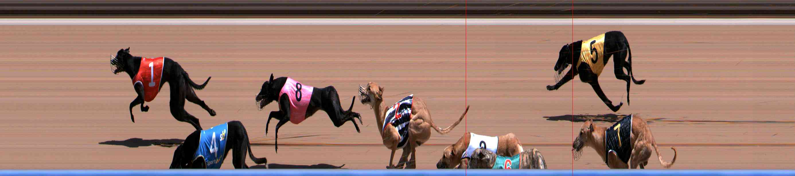 Photo finish for Healesville Race 6