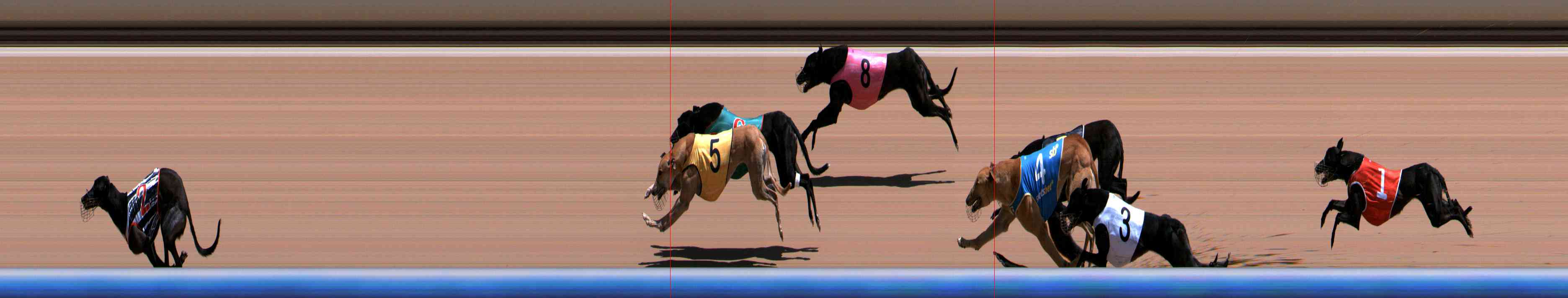 Photo finish for Healesville Race 7