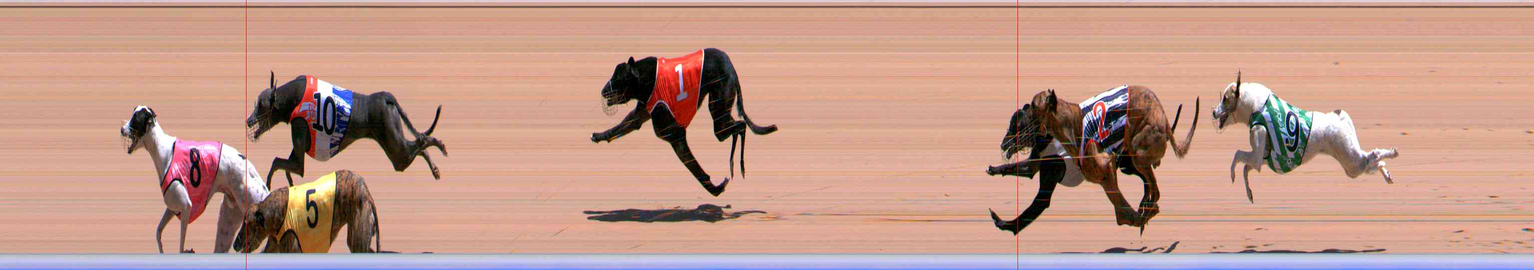 Photo finish for Healesville Race 8