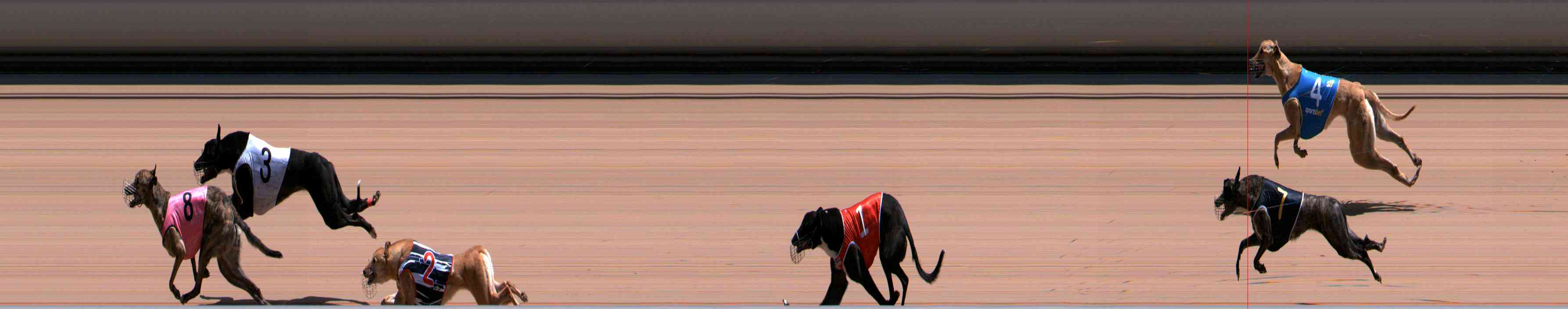 Photo finish for Healesville Race 9