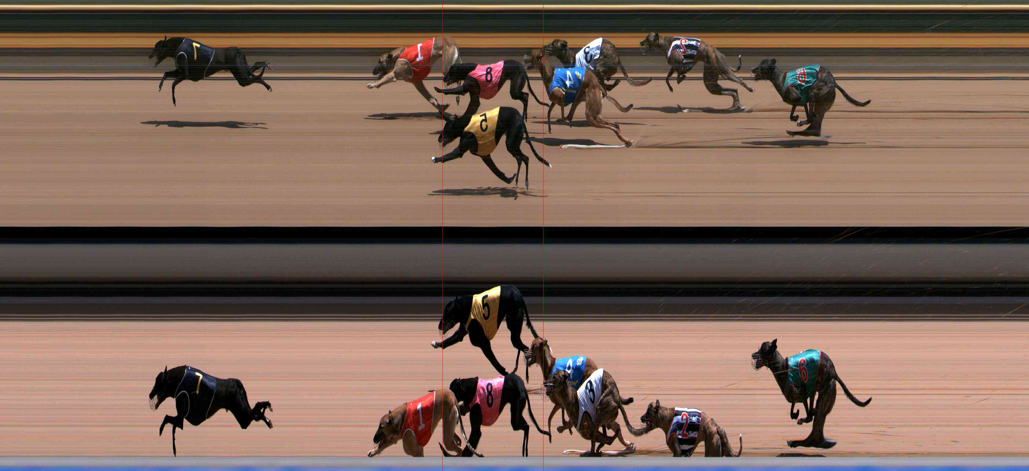 Photo finish for Healesville Race 10