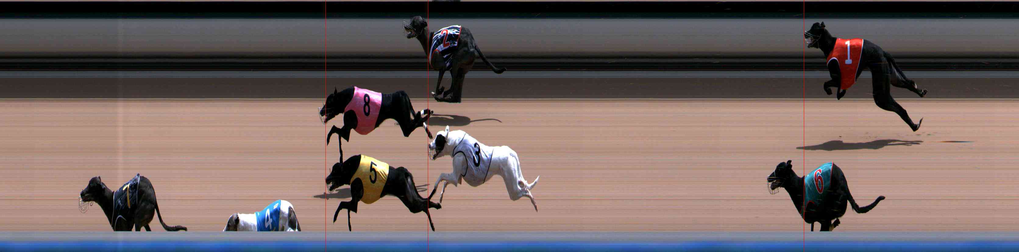 Photo finish for Healesville Race 11